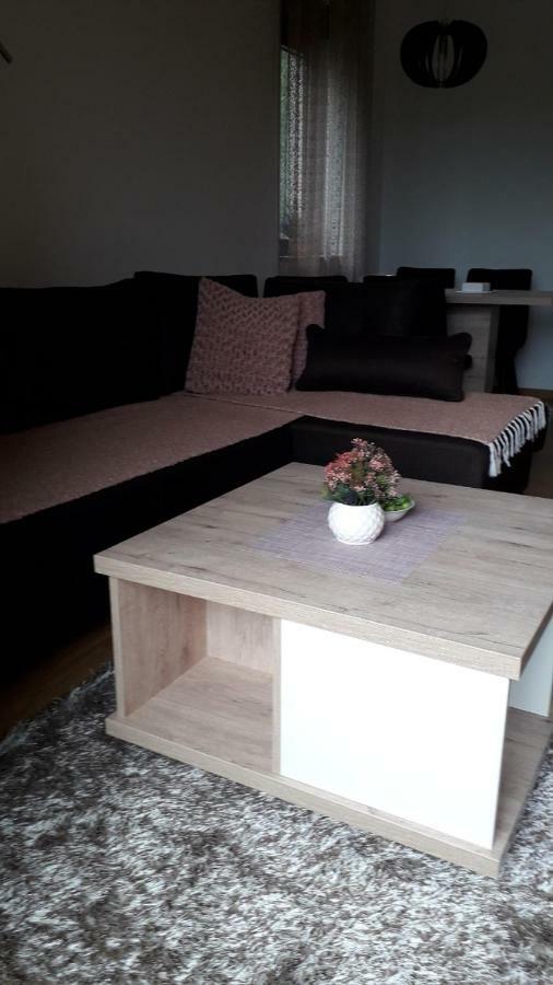 זלאטיבור Apartman Nana Svetogorska 19 ,Stan 17 מראה חיצוני תמונה