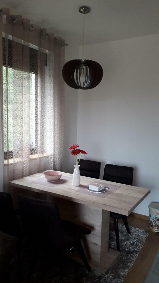 זלאטיבור Apartman Nana Svetogorska 19 ,Stan 17 מראה חיצוני תמונה