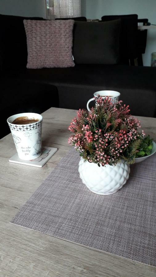 זלאטיבור Apartman Nana Svetogorska 19 ,Stan 17 מראה חיצוני תמונה