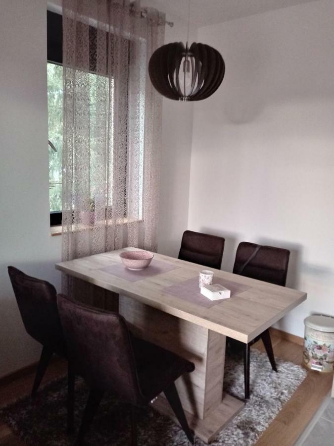 זלאטיבור Apartman Nana Svetogorska 19 ,Stan 17 מראה חיצוני תמונה