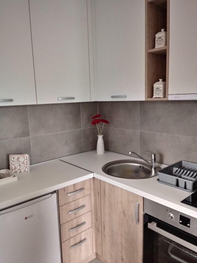 זלאטיבור Apartman Nana Svetogorska 19 ,Stan 17 מראה חיצוני תמונה