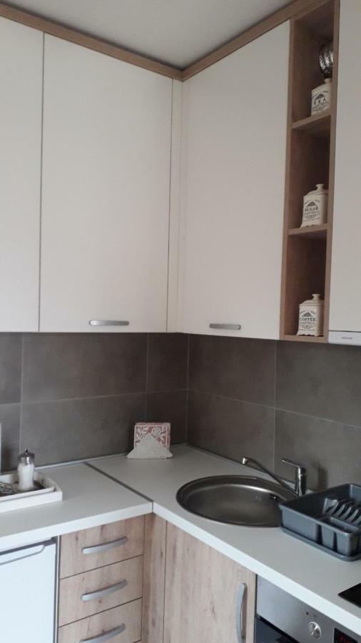 זלאטיבור Apartman Nana Svetogorska 19 ,Stan 17 מראה חיצוני תמונה