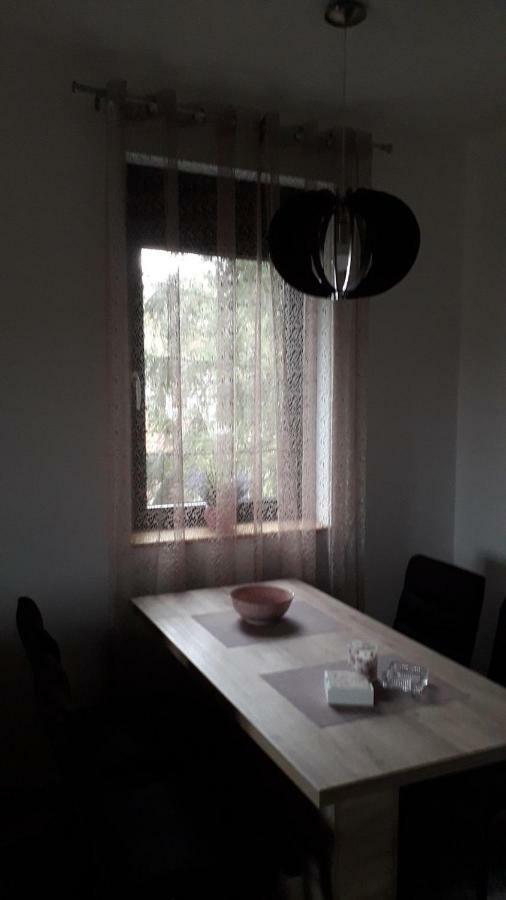 זלאטיבור Apartman Nana Svetogorska 19 ,Stan 17 מראה חיצוני תמונה