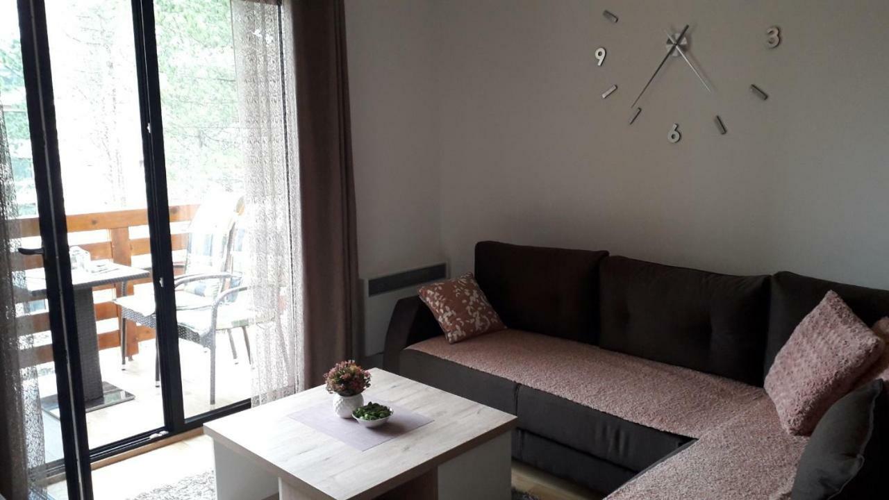 זלאטיבור Apartman Nana Svetogorska 19 ,Stan 17 מראה חיצוני תמונה