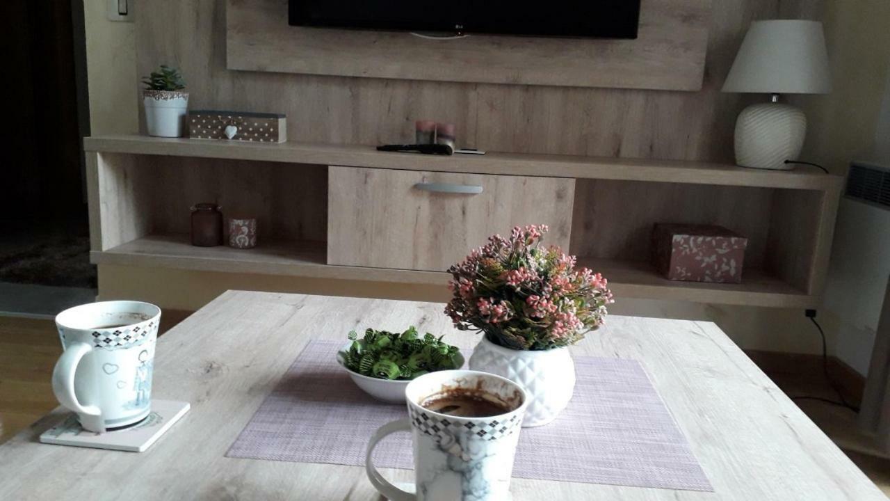 זלאטיבור Apartman Nana Svetogorska 19 ,Stan 17 מראה חיצוני תמונה