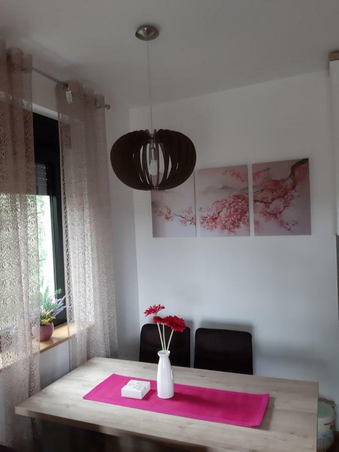 זלאטיבור Apartman Nana Svetogorska 19 ,Stan 17 מראה חיצוני תמונה