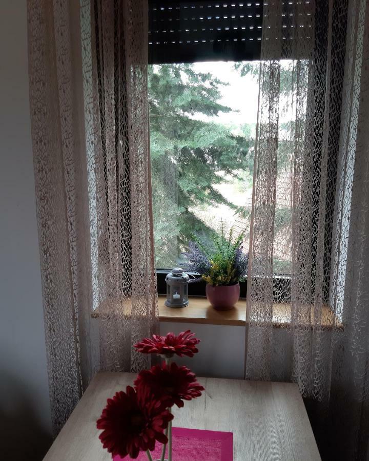 זלאטיבור Apartman Nana Svetogorska 19 ,Stan 17 מראה חיצוני תמונה