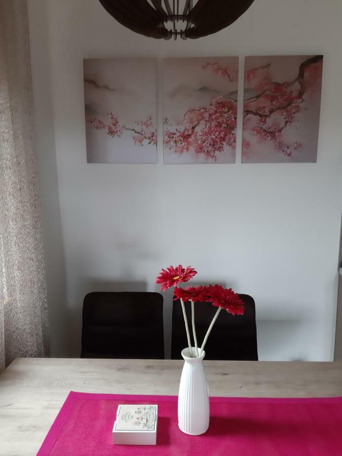 זלאטיבור Apartman Nana Svetogorska 19 ,Stan 17 מראה חיצוני תמונה