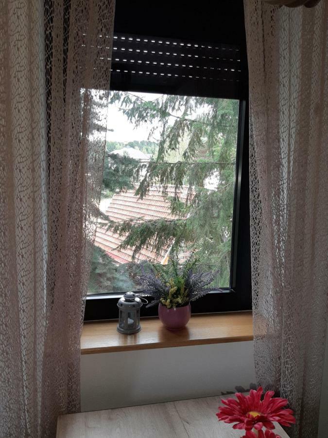 זלאטיבור Apartman Nana Svetogorska 19 ,Stan 17 מראה חיצוני תמונה